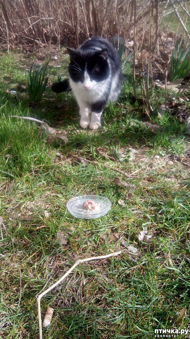 ���� 4: ��� � ������� ������