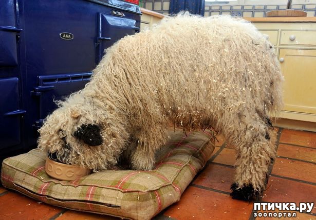 ���� 2: ���� ������, ��� ��� ������. ������ �� ���� ���� �����