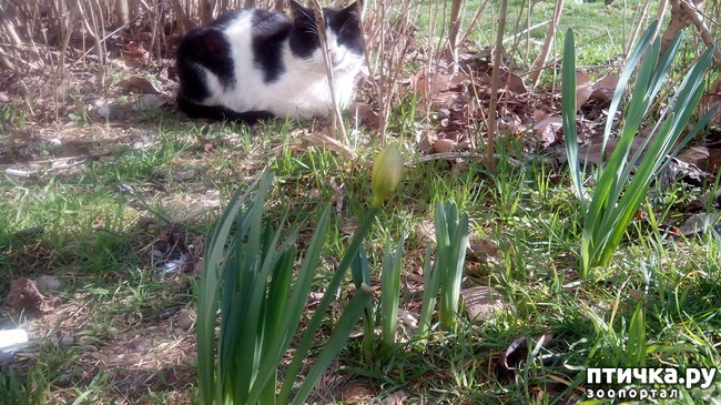 ���� 5: ��� � ������� ������