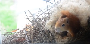 ����: ����� ���� �� �����...