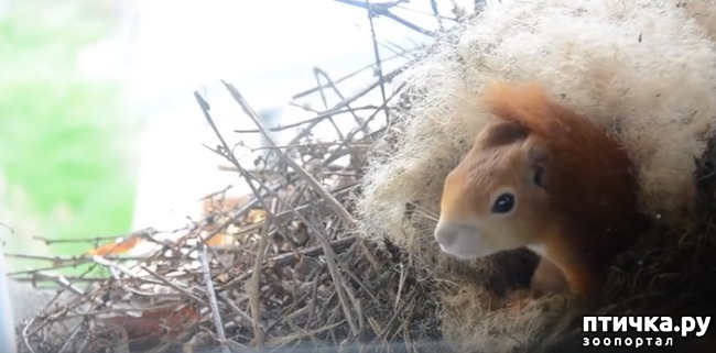 ���� 1: ����� ���� �� �����...