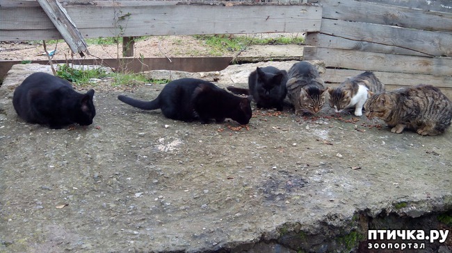 ���� 6: ��� � ������� ������