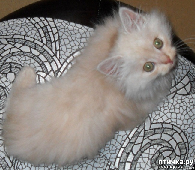 ���� 1: ������ ������. ������ �������