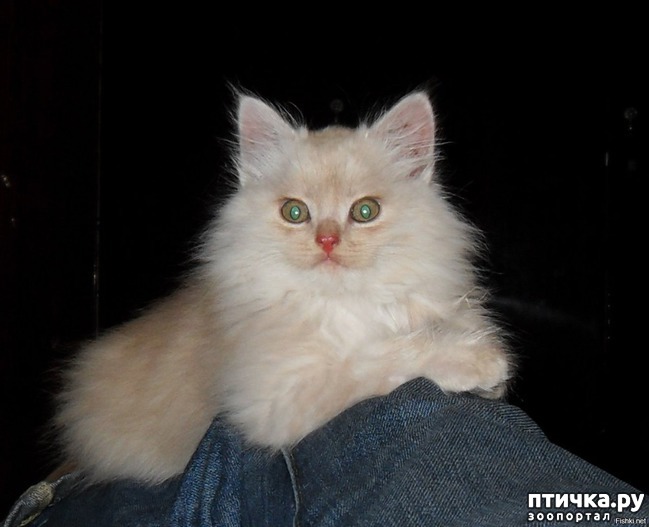 ���� 2: ������ ������. ������ �������