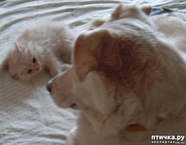 ���� 3: ������ ������. ������ �������