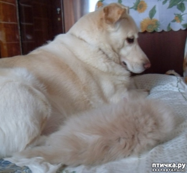 ���� 4: ������ ������. ������ �������