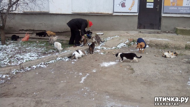 ���� 7: ��� � ������� ������