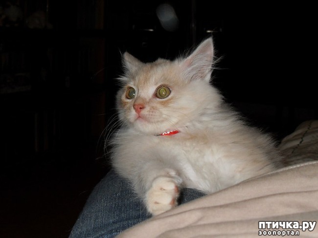 ���� 6: ������ ������. ������ �������