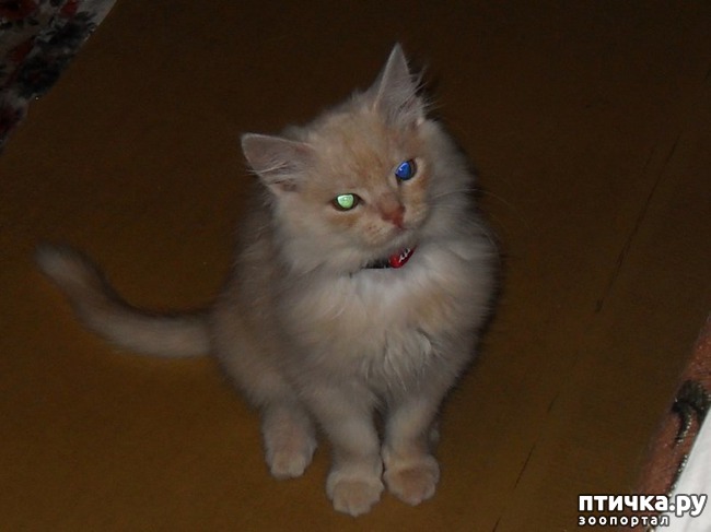 ���� 7: ������ ������. ������ �������