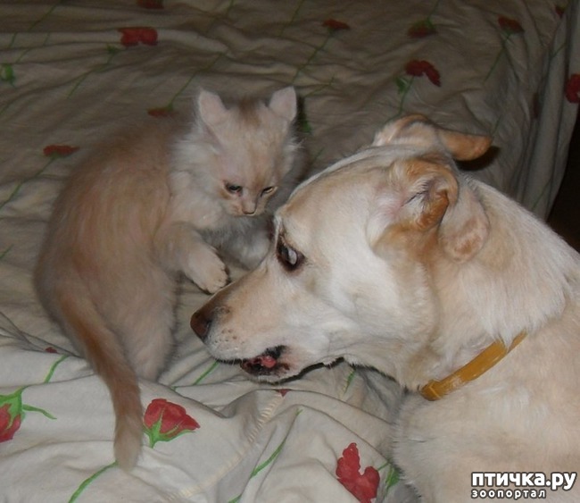 ���� 8: ������ ������. ������ �������