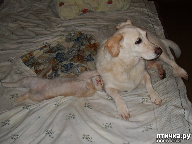 ���� 9: ������ ������. ������ �������