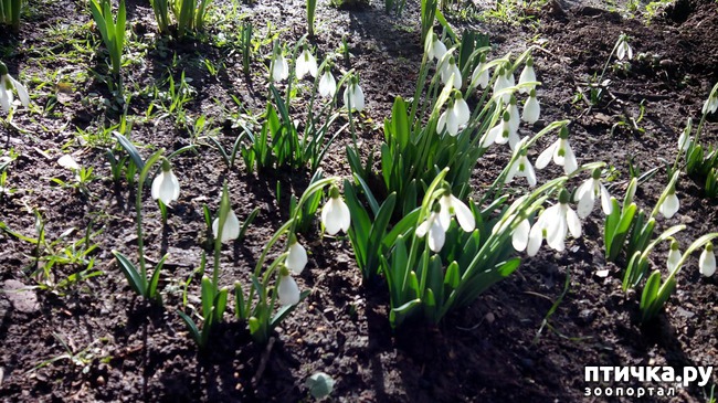 ���� 8: ��� � ������� ������