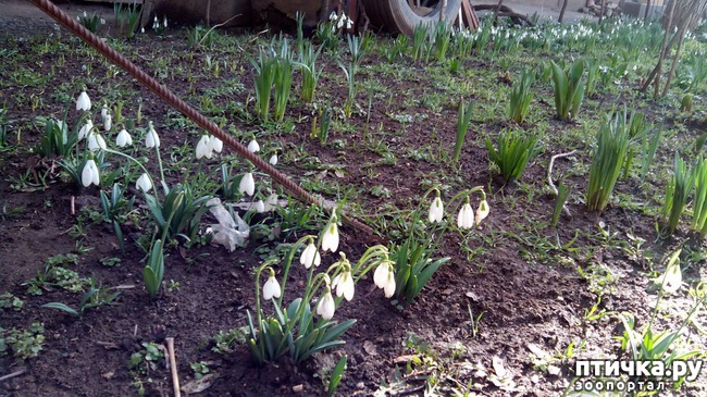 ���� 9: ��� � ������� ������