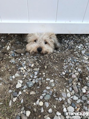 ����: ���������� � ��������������� ������)))