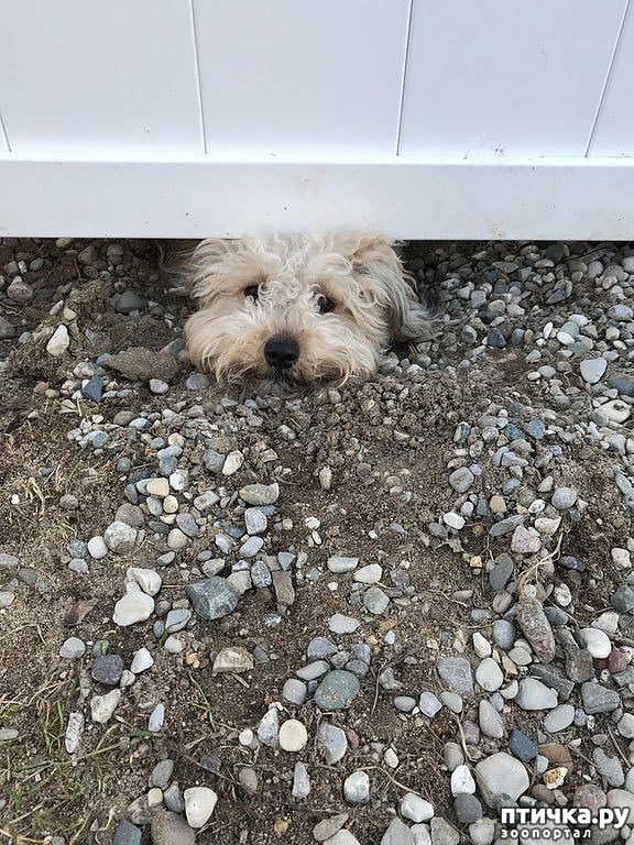 ���� 1: ���������� � ��������������� ������)))