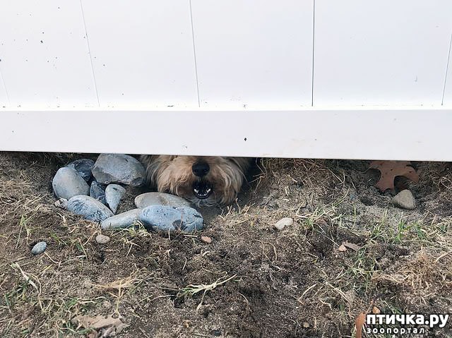 ���� 2: ���������� � ��������������� ������)))