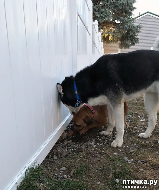 ���� 3: ���������� � ��������������� ������)))