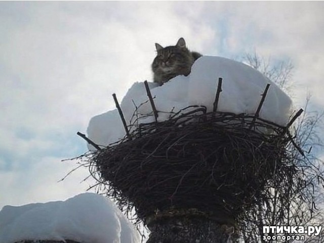 ���� 1: ������ ������� �������...