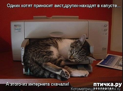 ���� 2: ������ ������� �������...