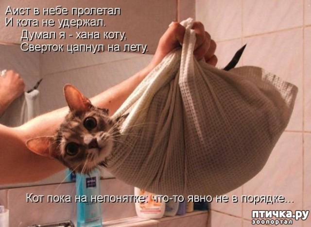 ���� 3: ������ ������� �������...