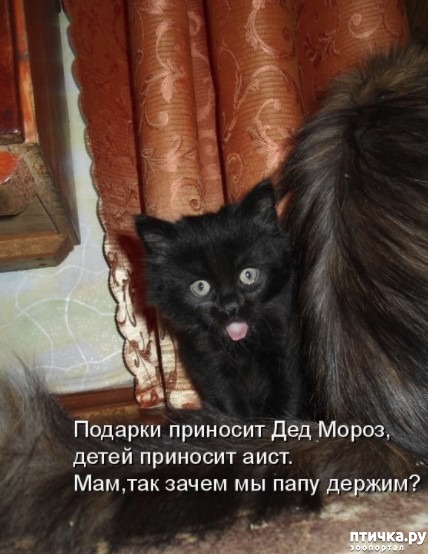 ���� 4: ������ ������� �������...