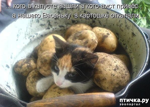 ���� 5: ������ ������� �������...