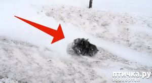 ����: ������� �� ���� ������ ���� ����������� ����� ������ �� ������� ������