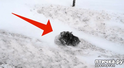 ���� 1: ������� �� ���� ������ ���� ����������� ����� ������ �� ������� ������