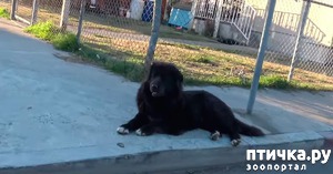 ����: ���-�� �� ������ ��� �� �����?