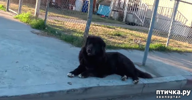 ���� 1: ���-�� �� ������ ��� �� �����?