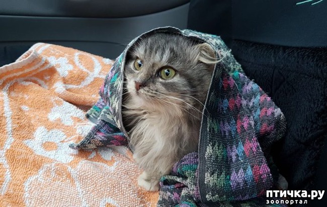 ���� 3: ������� �� ���� ������ ���� ����������� ����� ������ �� ������� ������