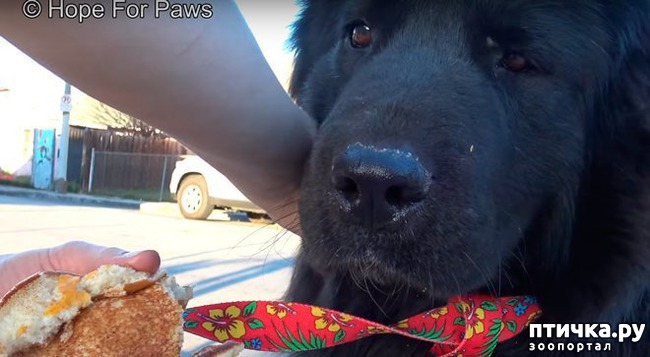 ���� 2: ���-�� �� ������ ��� �� �����?