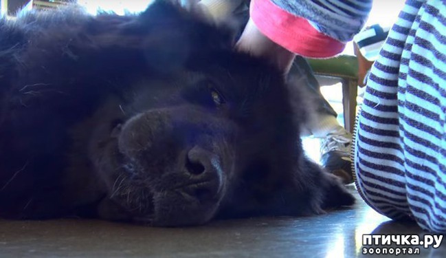 ���� 3: ���-�� �� ������ ��� �� �����?