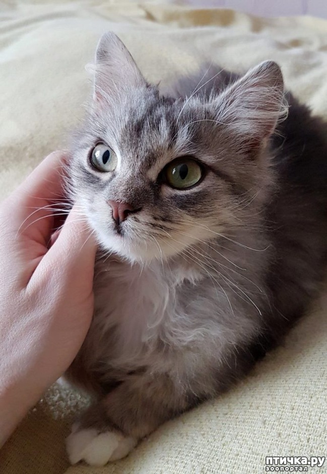 ���� 4: ������� �� ���� ������ ���� ����������� ����� ������ �� ������� ������