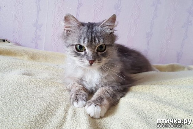 ���� 5: ������� �� ���� ������ ���� ����������� ����� ������ �� ������� ������