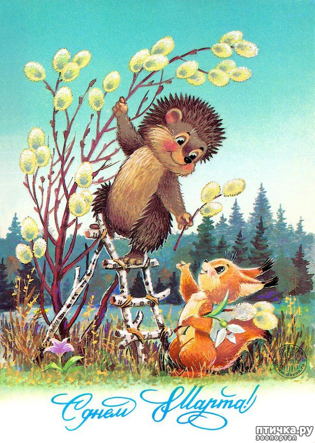 ���� 3: �������, � �������� ����������!