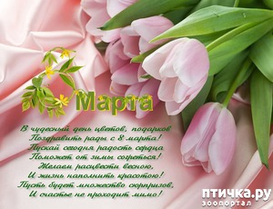 ����: �������, � �������� ����������!