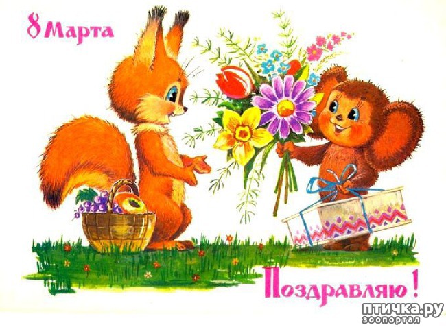 ���� 5: �������, � �������� ����������!