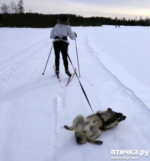 ����: ������� ���-������ �� ������ �����