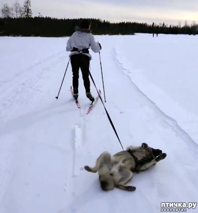 ���� 1: ������� ���-������ �� ������ �����