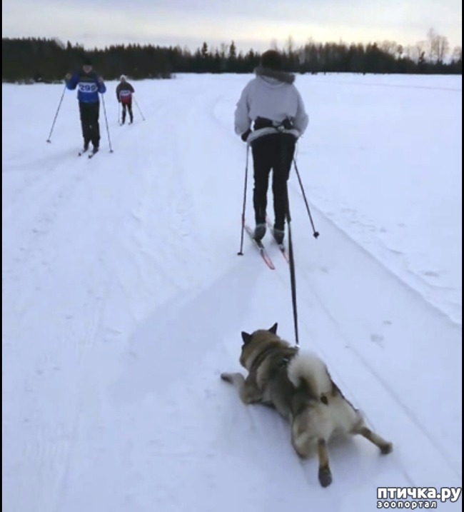 ���� 2: ������� ���-������ �� ������ �����