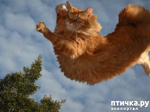 ����: �������� �� ������ ���� � ������ ���������. ���� ������)))