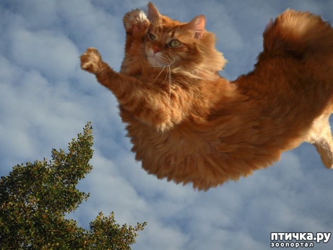 ���� 1: �������� �� ������ ���� � ������ ���������. ���� ������)))