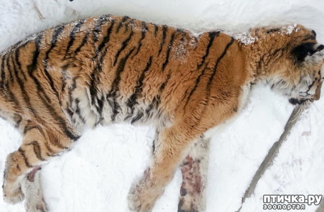 ���� 1: �������� � ������� ������� ������ � ����� ������� � ������