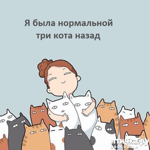 ����: ������� � ����������� �������� �����?