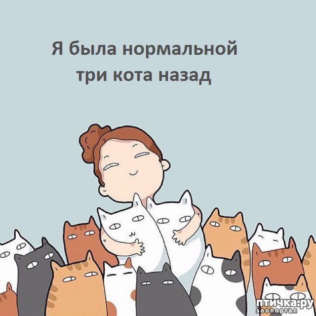 ���� 1: ������� � ����������� �������� �����?