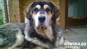 ����: ������ ����� ����� - 8 �����.