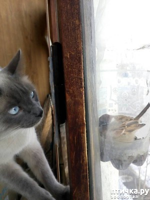 ����: ��� ������� ������� ������!