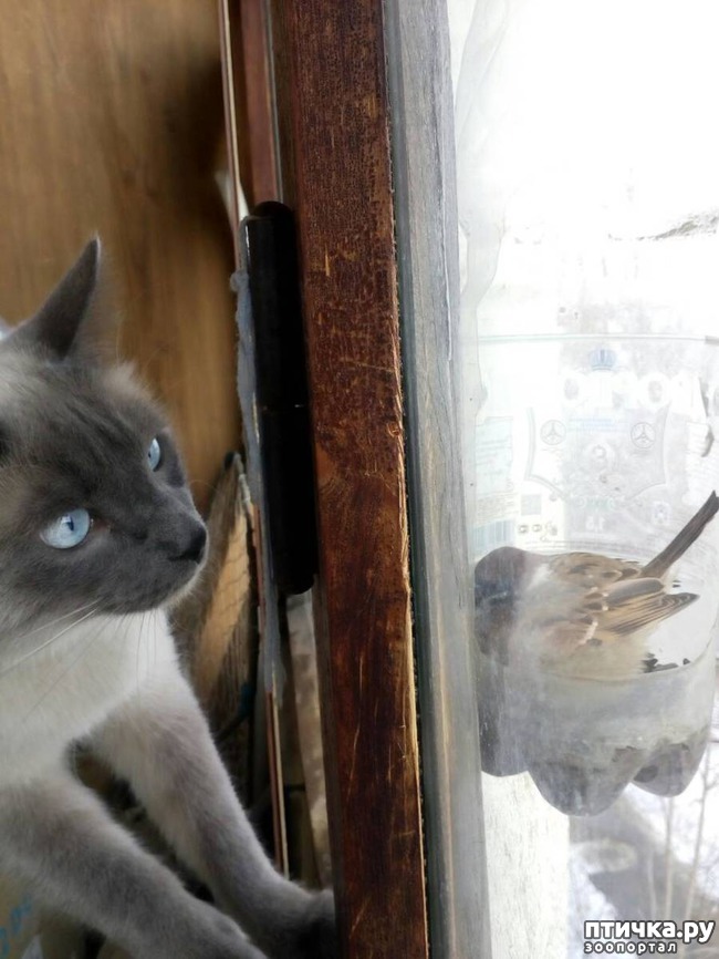 ���� 1: ��� ������� ������� ������!