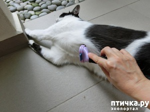 ����: ��� ����� ���������� ��� ����� � ��� ��������� ������������ ����������